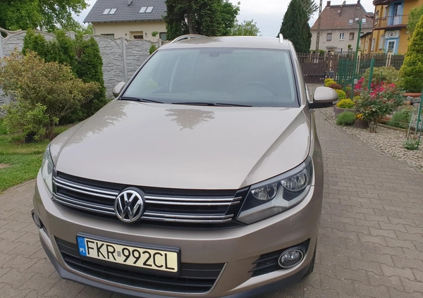 Volkswagen Tiguan cena 51990 przebieg: 210000, rok produkcji 2015 z Gubin małe 742